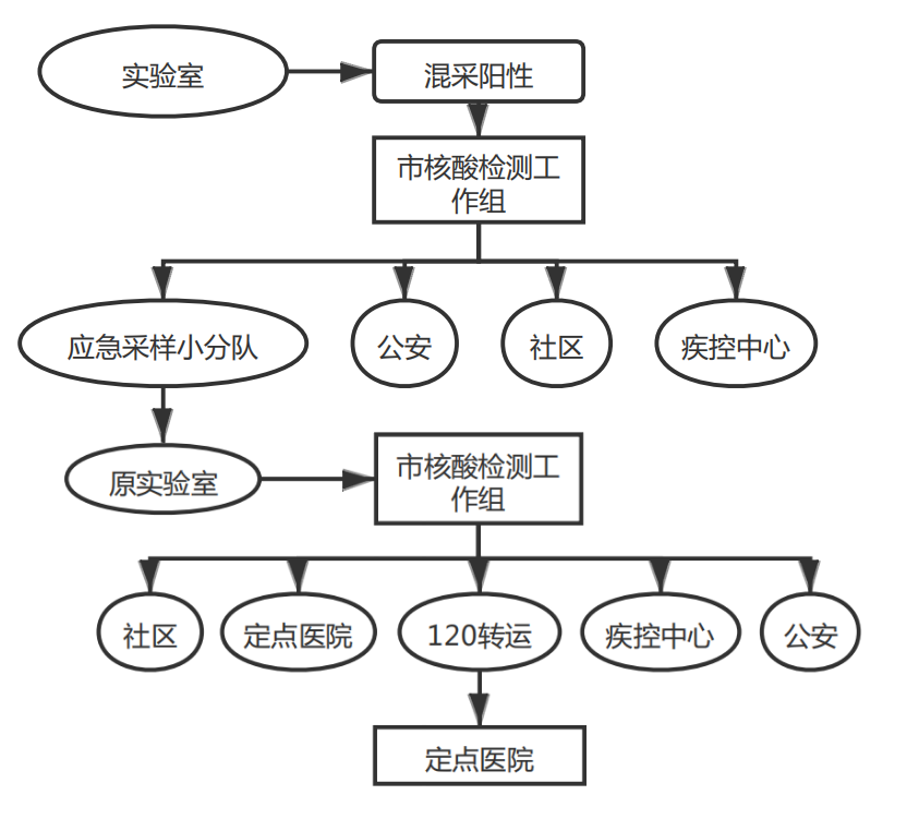 圖1混采陽性處置流程