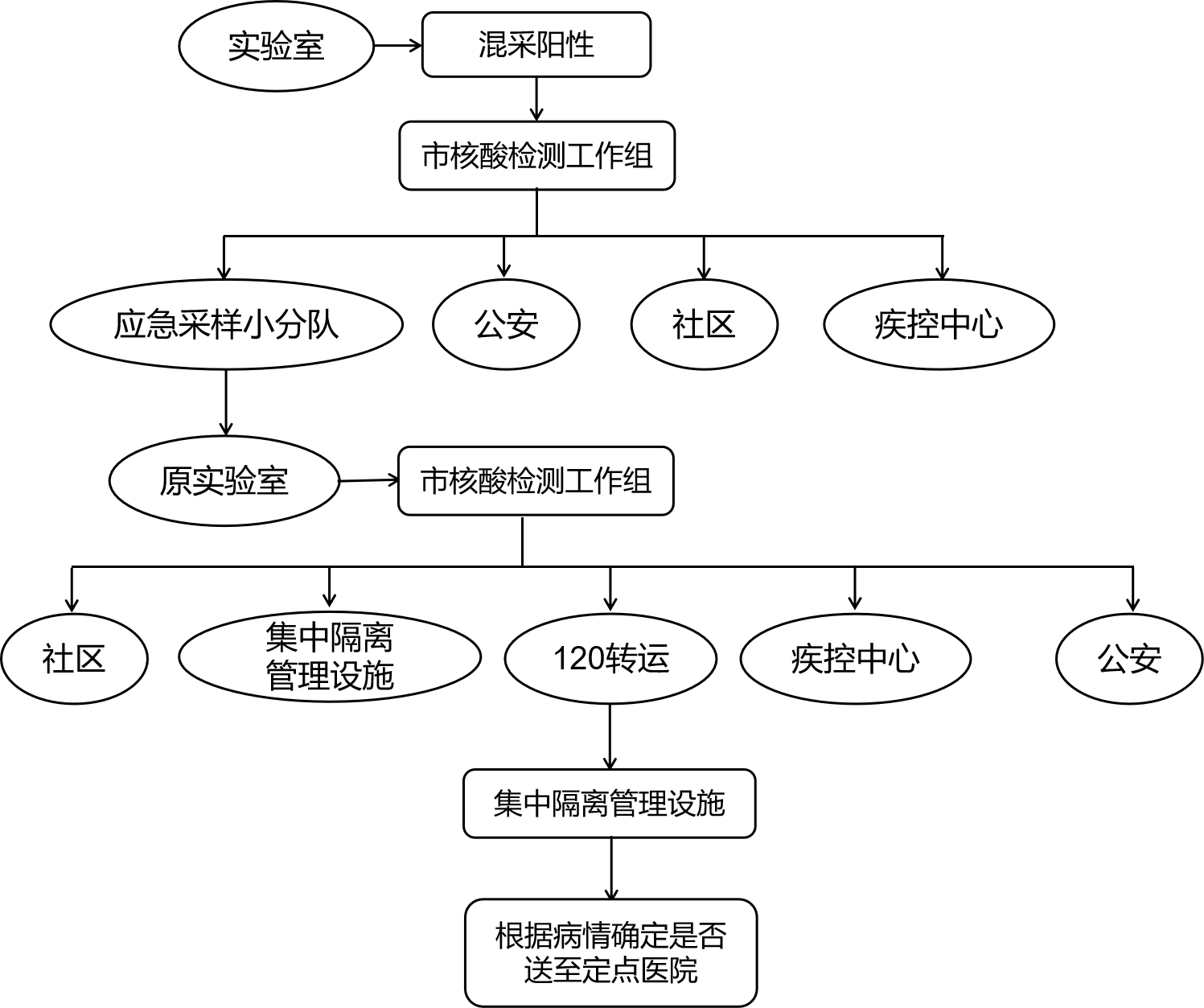 关于印发区域新型冠状病毒核酸检测组织实施指南（第三版）的通知(图4)