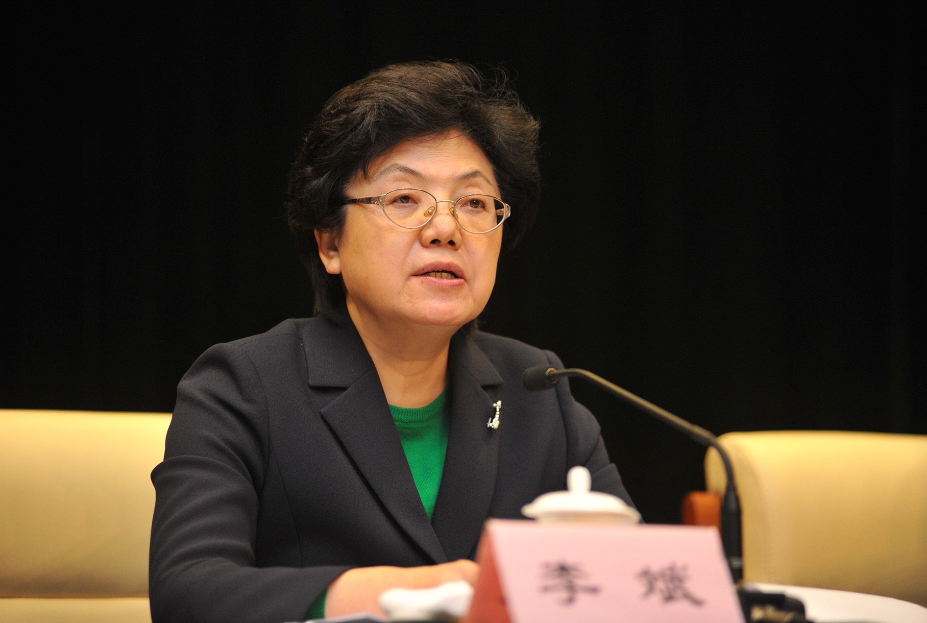 国家卫生计生委召开党的群众路线教育实践活动总结大会