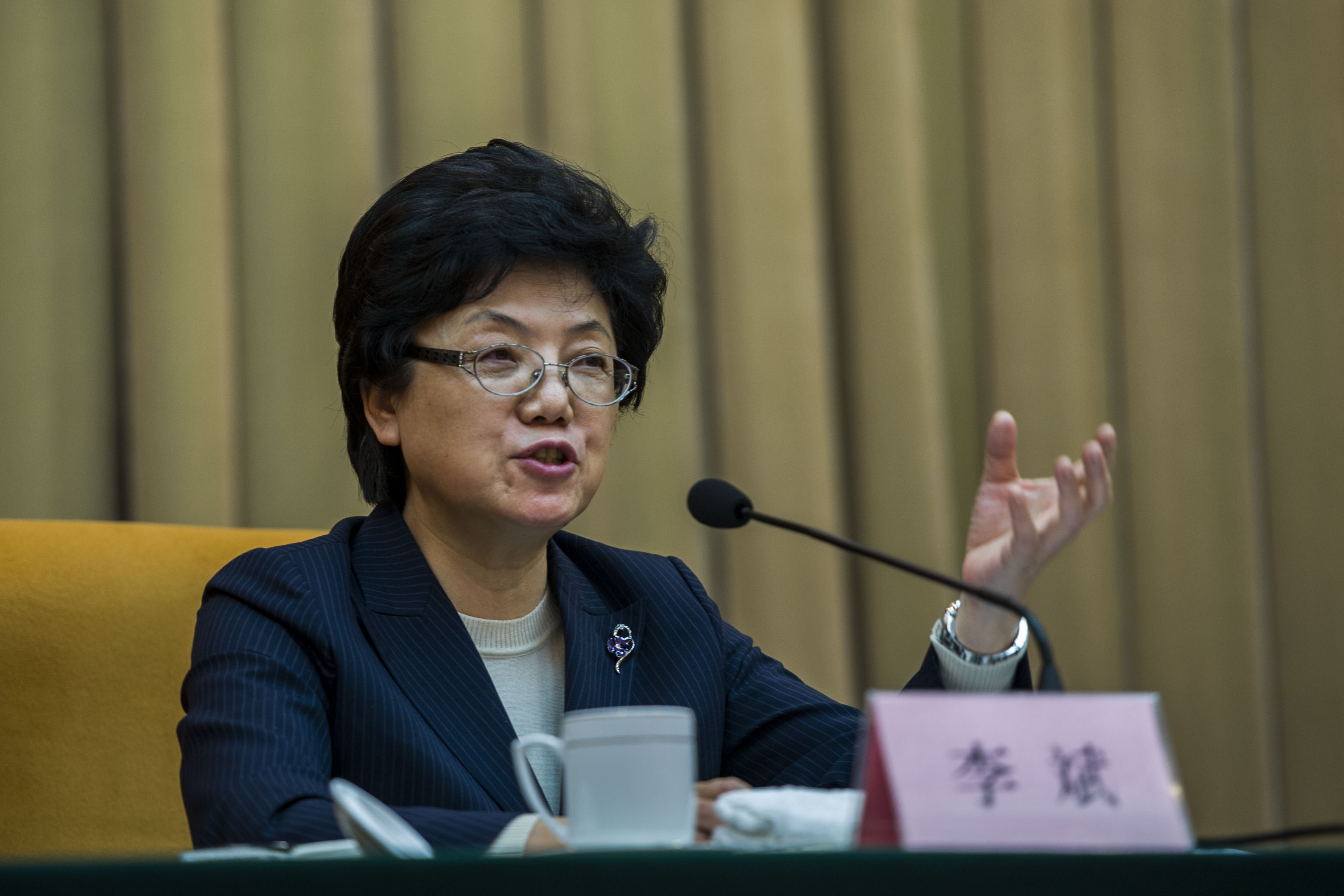 国家卫生计生委主任李斌出席会议并作重要讲话