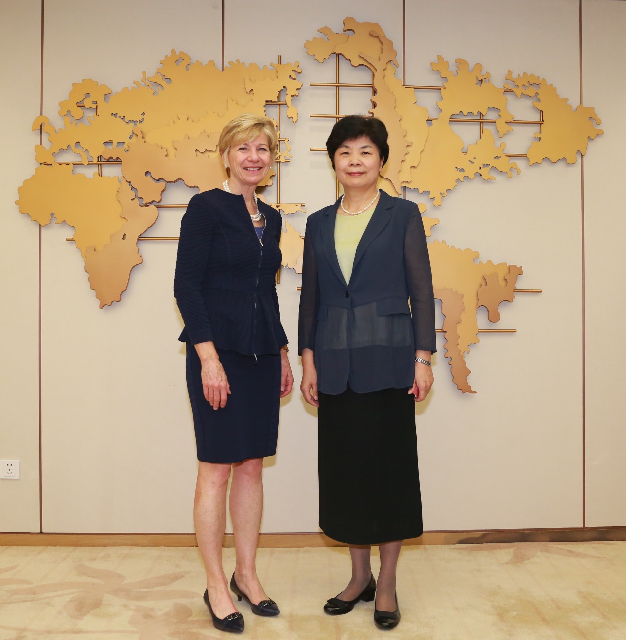 崔丽副主任会见美国盖茨基金会首席执行官苏珊61德斯蒙德赫尔女士