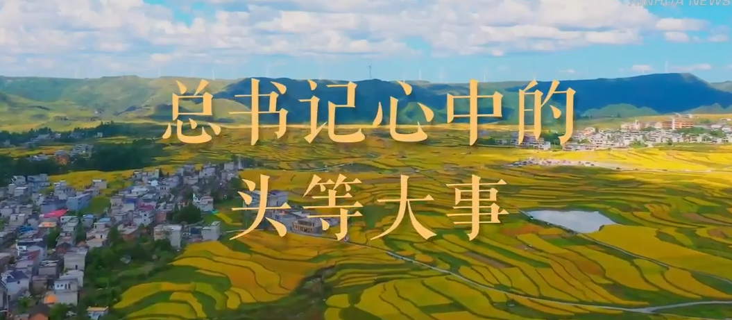 [新华社] 微视频丨总书记心中的头等大事
