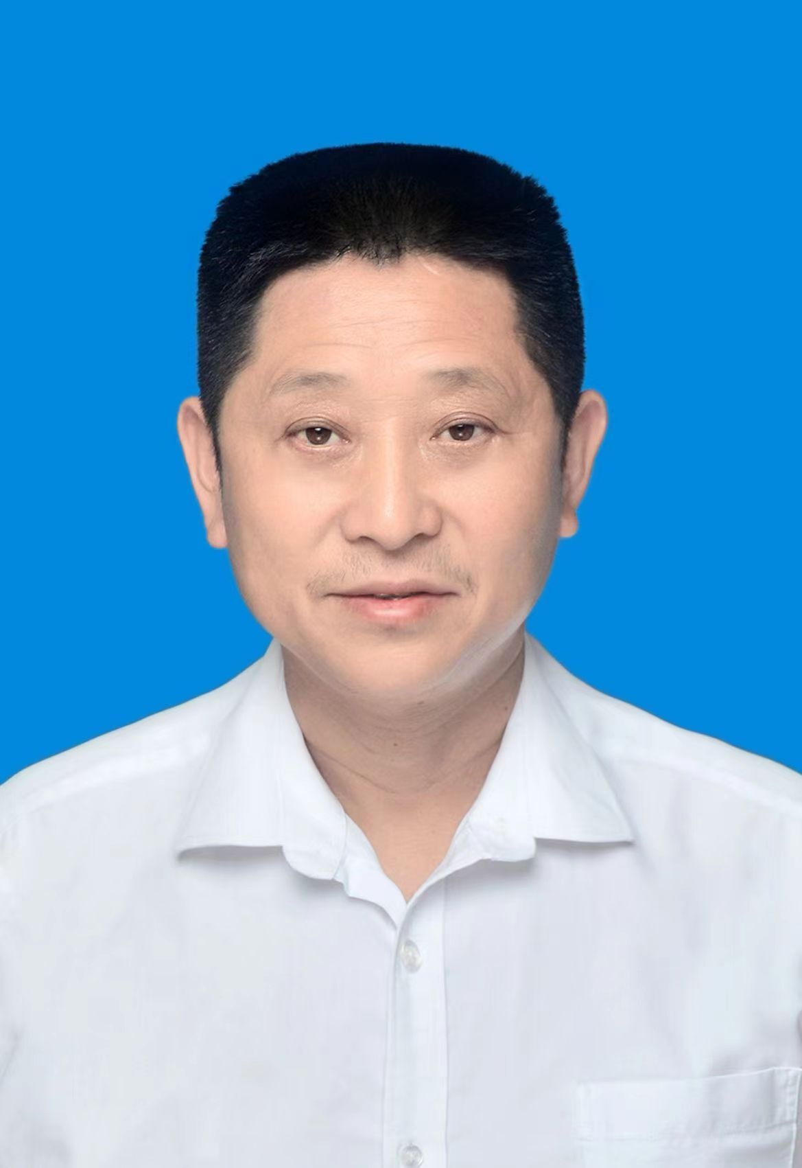 向传模